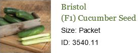 0070_20201223_1147_2021 Seed Order - Bristol Cumber.jpg